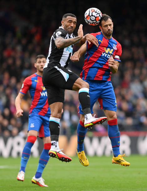 定的可能性 定的可能性